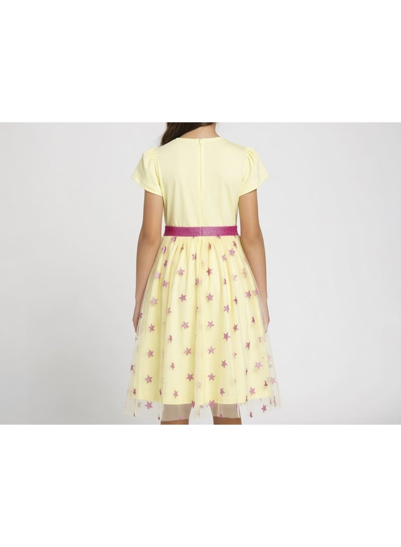 Cinderella Cendrella  | Tulle Dress | Yellow - Image 2